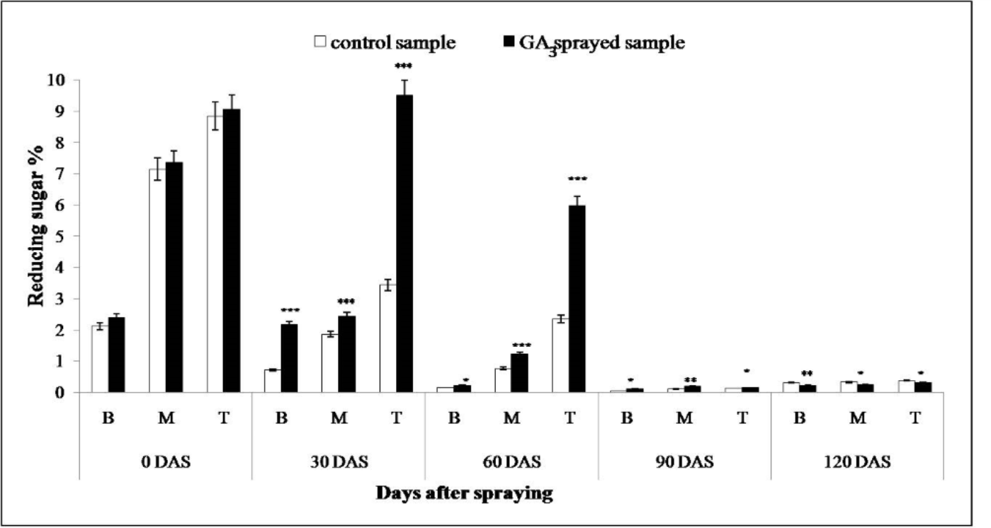 Influence of Gibberellins on sink strength and Expression of Genes associated with Sucrose accumulation in Sugarcane (Saccharum spp. Hybrids)
 