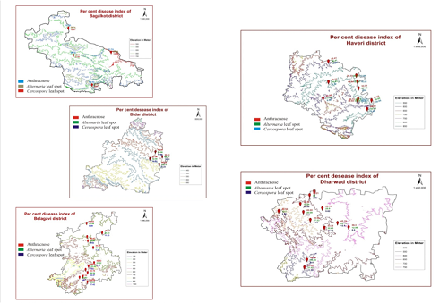 Hemibiotrophic foliar Fungal Diseases and their Dynamism in GPS system in Soybean growing areas of Karnataka
 