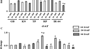 Differential regulation of genes associated with aroma production in indica rice cultivars during grain developmental stages  