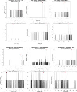 In-silico prediction of microRNA targets and finding genes suggesting significant involvement in the development of Glycine max seed  