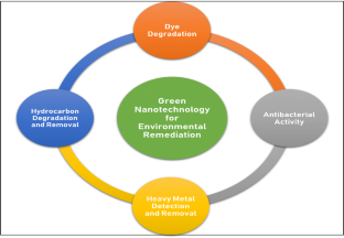 Bioremediation, Dye degradation, Antimicrobial, Green synthesis, Human health