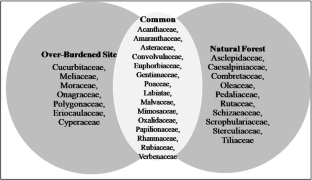 Ecological restoration, Degraded sites, Overburden dump, Community analysis, Diversity indices, Species richness