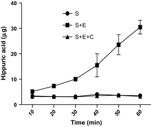 ACE-I inhibitory activity, Chickpea seed proteins, Alcalase