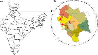Antibacterial, Antioxidant, HPTLC, 
                Phyllamthus emblica
              , Phytochemical variation