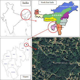 Tree diversity, Regeneration status, Rowa Wildlife Sanctuary, Community characteristics