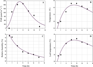Developing mathematical model for diurnal variations of photosynthetic responses in Jatropha curcas L. under soil flooding  
