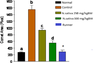 Evaluation of genoprotective and antioxidative potentiality of ethanolic extract of N. sativa seed in streptozotocin induced diabetic albino rats  