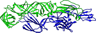 Chikungunya virus (CHIKV), In silico screening, Molecular dynamic simulation, Phytochemicals