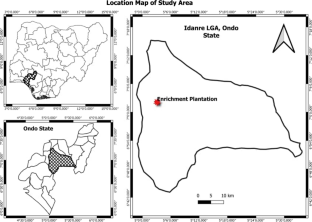 A 17 year successional enrichment plantation of tree recruitment and restoration in a tropical rainforest forest  