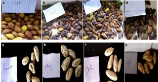 Propagation of Terminalia chebula from explants and seeds collected from different agro-ecological regions of north-western states of India  