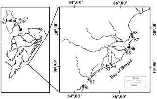 Bacillariophyta, Bay of Bengal, Dinophyta, East coast, Multivariate analysis
