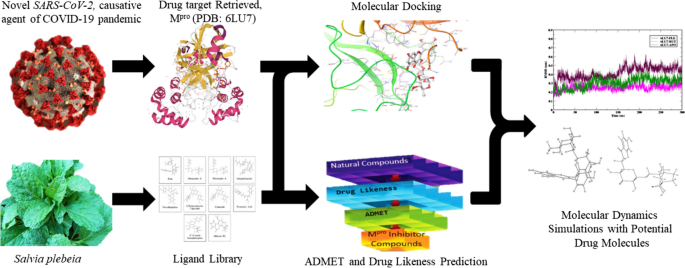 Main protease, 
                        Salvia plebeia R. Br., Rutin, Plebeiosides B, ADMET, PASS, Molecular docking, Molecular dynamic simulation