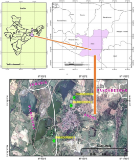 Ecological assessment of tree communities and pedological characteristics of coal mine generated wastelands of Raniganj Coal Field Area, West Bengal, India  