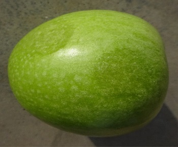 Apple (Malus domestica Borkh.), Bruise, Food waste, Fruit quality, Mechanical damage