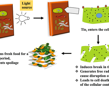 Titanium dioxide nanomaterials coated films in food packaging: a mini review  
