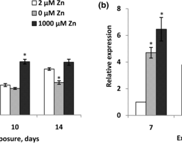 Effect of zinc deficiency and excess on catalase activity and HvCAT2 gene expression in barley  