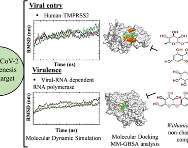 SARS-CoV-2, 
              Withania somnifera
            , Phytochemical, TMPRSS2, RNA dependent RNA polymerase