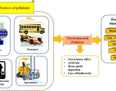 Phyconanoremediation: a sustainable approach to deal with environmental pollutants heavy metals and dyes  