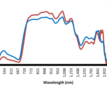 Leaf protein, Spectroradiometer, Reflectance, Spectral indices