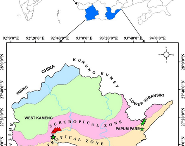 Carbon stock and pool assessment in tropical and subtropical bamboo brakes of Arunachal Pradesh, India  