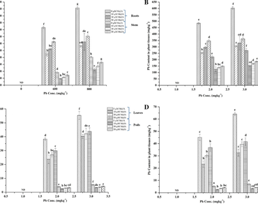 Effect of methyl jasmonate in enhanced growth, antioxidants and reduced Pb uptake in contrasting cluster bean cultivars  