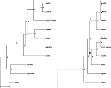 PCR–RFLP, Genetic diversity, 
              Ceratotropis
            , 
                     TrnLUAA intron, 
                     TrnLUAA–trnFGAA and psbA-trnHGUG
                  