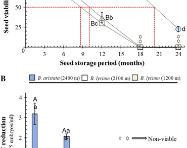 Seed longevity and storage dependent changes in seed germination aspects of Berberis aristata and B. lycium from Western Himalaya: implications for seed storage and conservation  