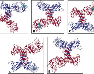 Molecular docking of some active ingredients of oblation materials used in Yajña against tuberculosis causing Mycobacterium tuberculosis  