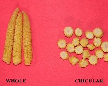 Quality assessment and development of baby corn candy  