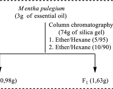 
              Mentha pulegium
            , Essential oil, Isolation, Pulegone, Piperitenone