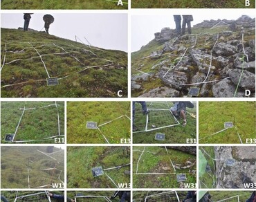 Establishment of GLORIA sites in Indian Himalayan Region: diversity and distribution of lichens 