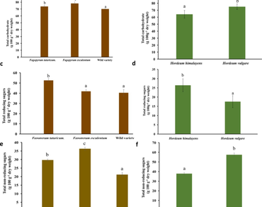 Buckwheat, Barley, Nutritional profile, Phytochemicals