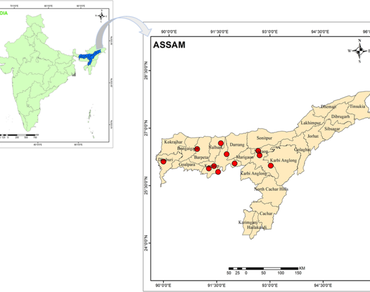 Phytochemical screening, proximate composition and antioxidant activities of Citrus germplasm of Assam, India 