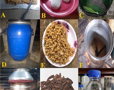 Efficacy of ‘Harchur raksi’, a traditional fermented beverage of high altitude Darjeeling hills as an anti-inflammatory and antiviral remedy 