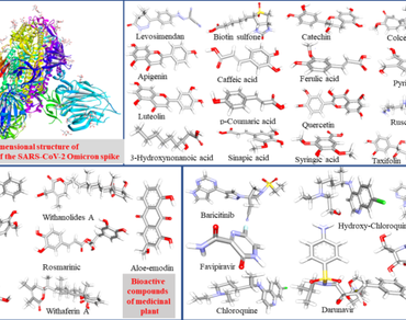 Chemo-informatics, Omicron spike, Pharmacokinetics, SAR, UCSF Chimera
