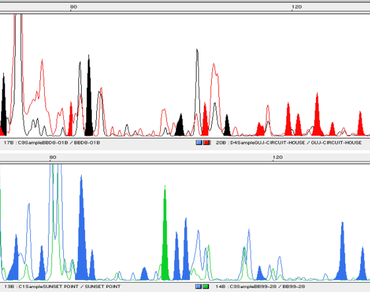 AFLP, Asiatic Vignan                  , Ceratotropis, Population substructure, Gene flow