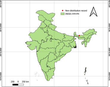 Extended distribution of an endemic variety Glochidion zeylanicum var. paucicarpum Chakrab. & N.P. Balakr. (Phyllanthaceae) from Assam, India