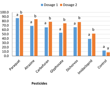 Bacteria, n                     Heterorhabdidtis sp., Paraquat, Imidacloprid, Pollution, EPN, Toxicity