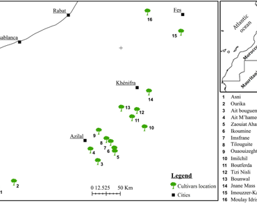 Use of ISSR markers for assessing genetic diversity of apple (Malus x domestica) cultivars growing in Morocco 