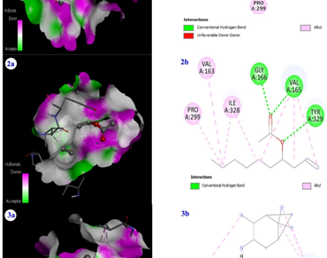 Endophytic fungi, Bioactive chemicals, Mur enzymes, Molecular docking, Drug-likeness