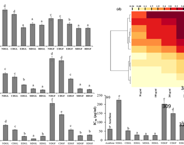 n              Duabanga grandifloran            , Antioxidant, Antidiabetic, Anti-inflammatory, HPTLC, n              In silicon