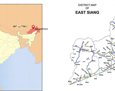 n              Melia dubian            , Genetic diversity, SSR, Superior seed source, Conservation strategies