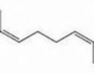 Amaranthus Hybridus
                     , Squalene, Anticancerous properties, Human DNA topoisomerases, Molecular docking
