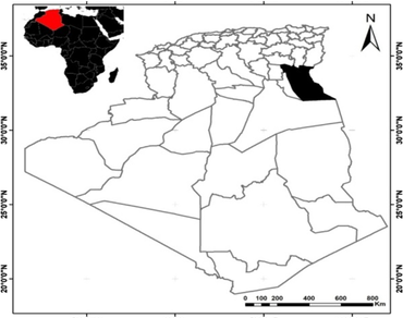 Ethnobotanical survey of two astragalus species used by the local population in El-Oued province (septentrional Algerian Sahara) 