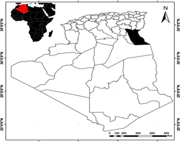 Ethnobotanical survey, n                     Astragalus cruciatus Link., n                     Astragalus gyzensis Bunge, Ethnobotanical indices, Diabetes, Scorpion and snake bites