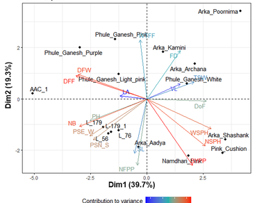 Studies on genetic variability based on different morpho-physiological traits vis-à-vis diversity assessment of China aster [Callistephus chinensis (L.) Nees] genotypes