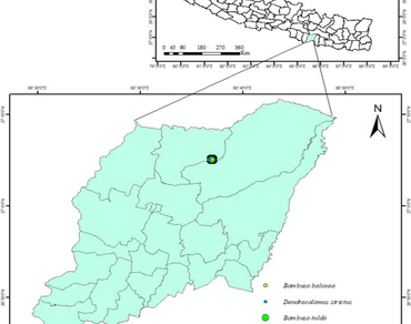Phytochemical screening, antioxidant and antibacterial activity of bamboo leaf collected from agroecosystem of the Central Siwalik region, Nepal 