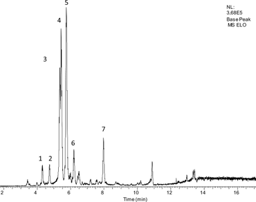 Natural products, Phytochemical characterization, Bacterial infections, Drug resistance, Efflux pump inhibitors