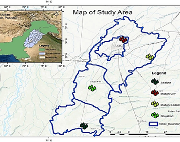 Ethnomedicinal, Traditional knowledge, Wild flora, Pharmaceuticals