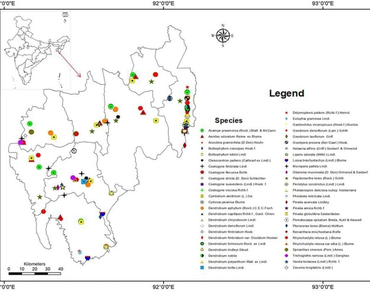 Orchid distribution, Habitat suitability, Species richness, Jampui hill, Conservation
